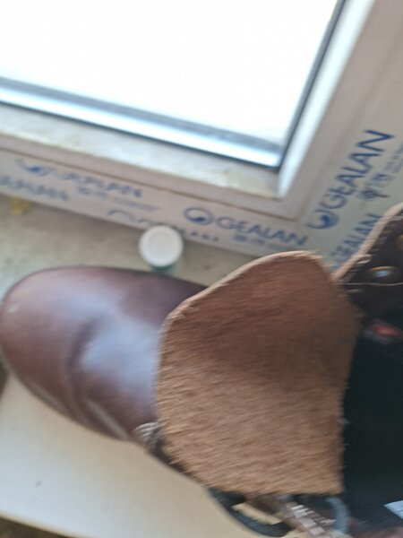 Timberland aproape noi